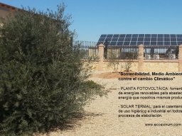 placas solares bodega 2